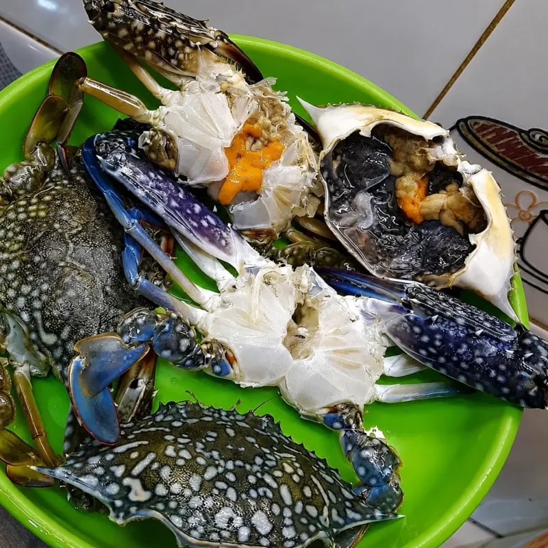 Blue Swimming Crab